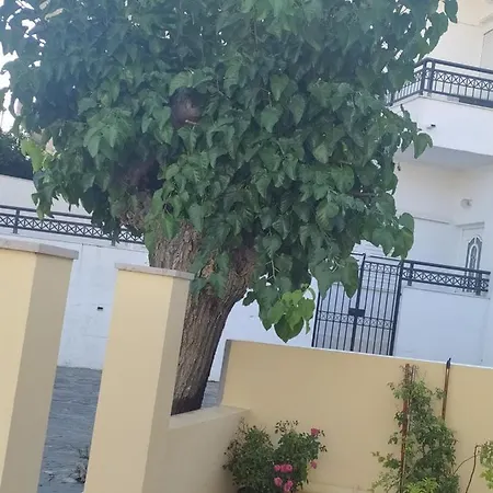 Giotas House Psinthos